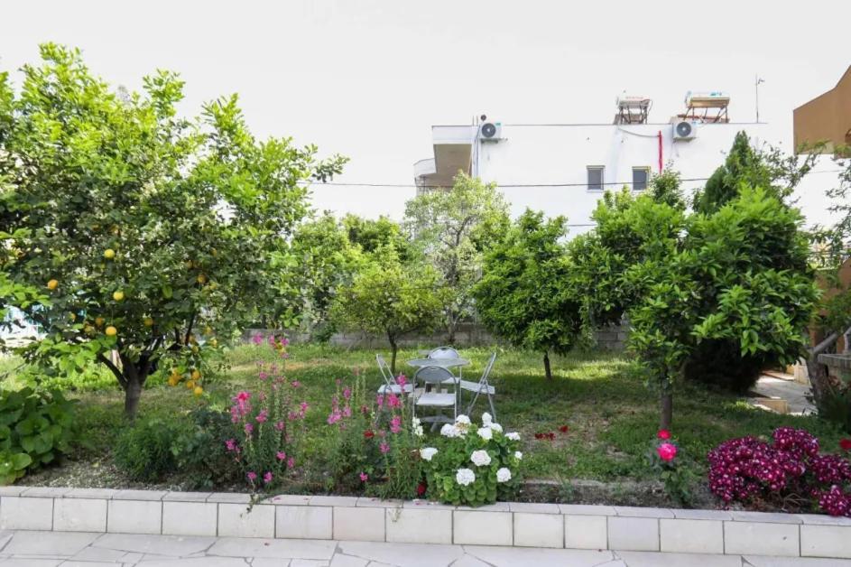 Vila Agolli Vlorë エクステリア 写真