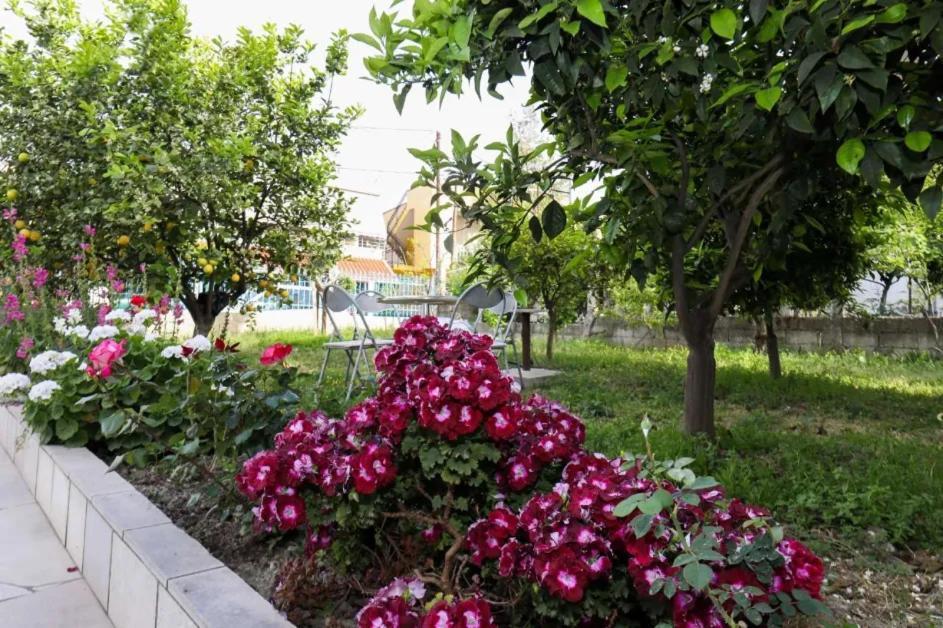 Vila Agolli Vlorë エクステリア 写真